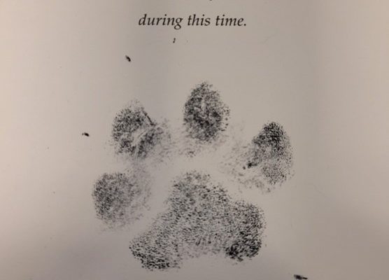 Ink Pawprint (Complimentary)